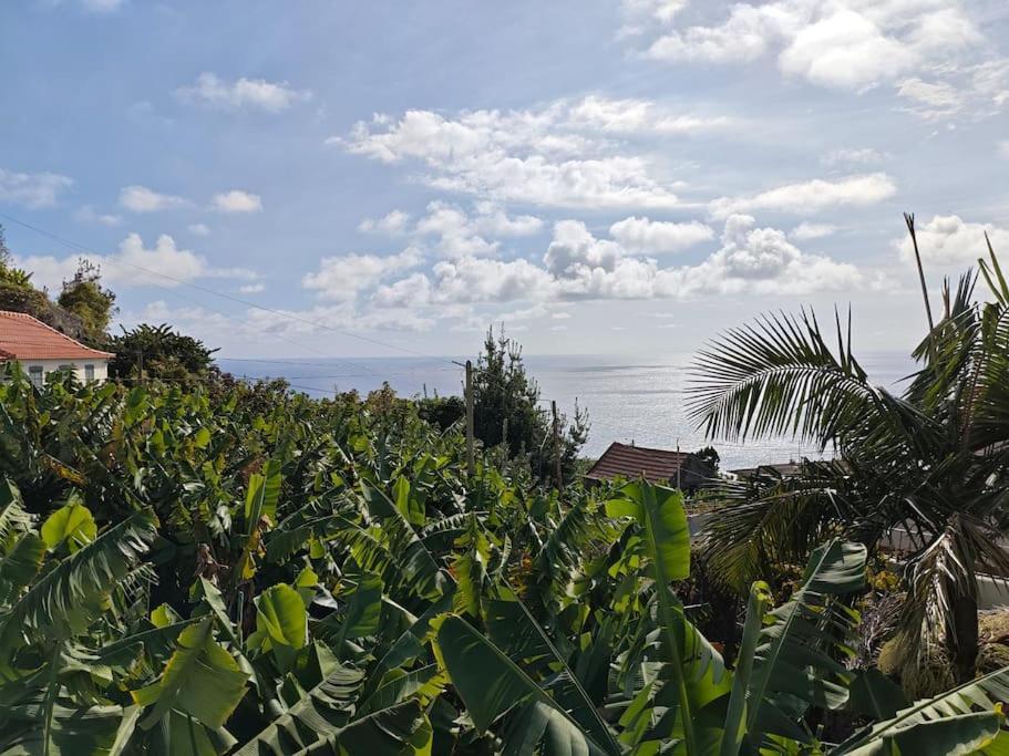 Vаrаndаs Dо Sоl-vista Relaxante Entre Mar E Montanha Apartment Ponta do Sol (Madeira)